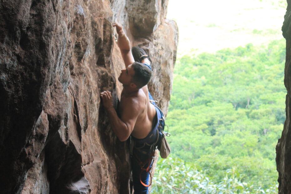 08. Suínos de Aldebaran